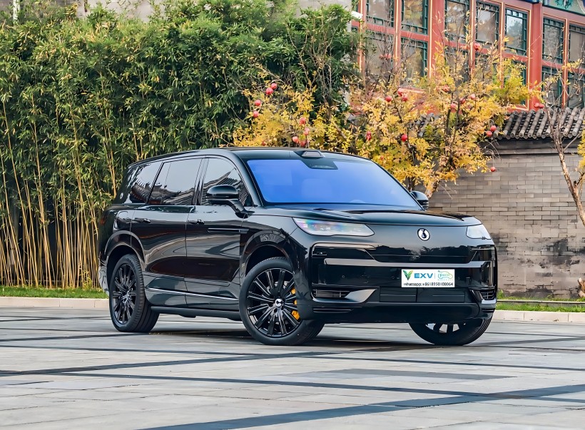 Сеопфатен предводник SUV, Денза N9, треба да започне на 21 март.